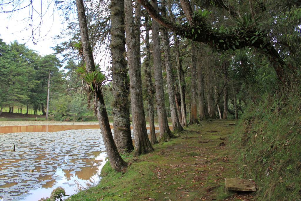 Hotel Recanto Sao Cristovao - Proximo Ao Parque Tarundu Campos do Jordão Екстериор снимка